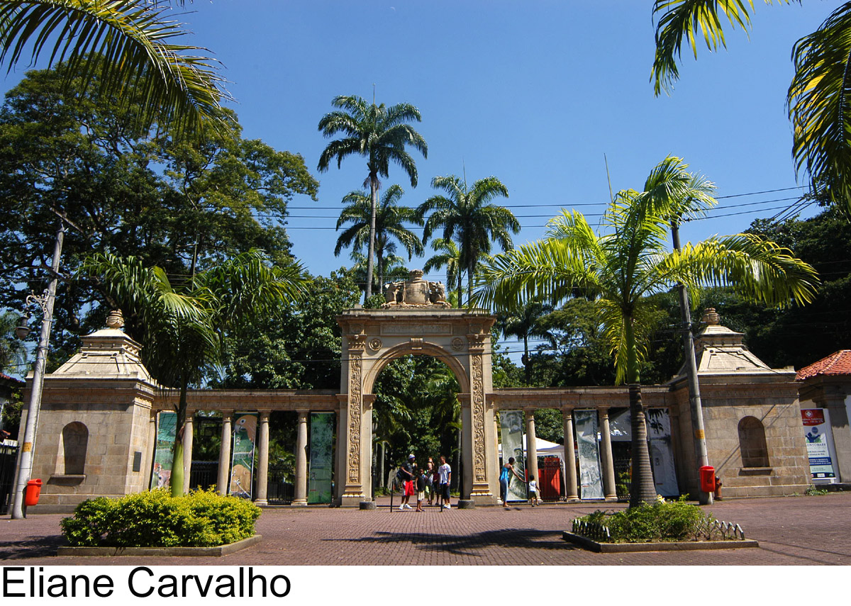 Foto: Eliane Carvalho