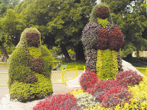 Foto: Carlos Henrique Damasceno