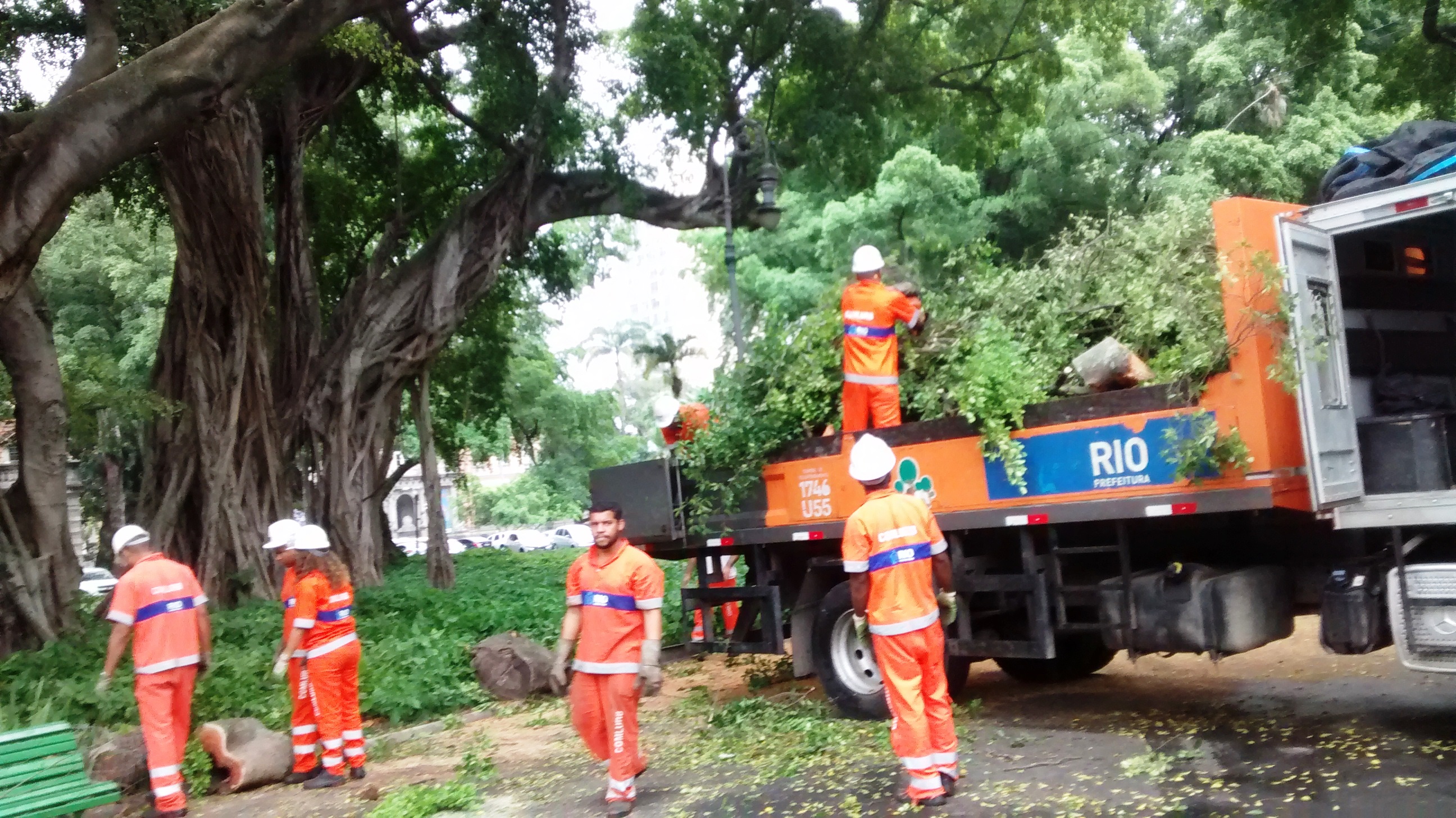 Equipes da Comlurb realizam serviço de poda nas árvores